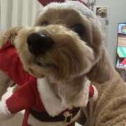 ヒメ日記 2025/12/24 11:14 投稿 リノ ビギナーズ和歌山