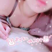 ヒメ日記 2025/11/07 12:41 投稿 さつき C.C.CATS