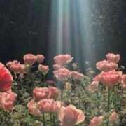 ヒメ日記 2025/12/09 10:17 投稿 ねね フェアリー【都城店】