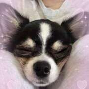 てら てら到着しました〜！ 池袋あられ