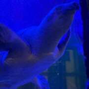 ヒメ日記 2025/11/12 18:22 投稿 まりな 君とふわふわプリンセスin立川