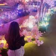 ヒメ日記 2025/12/08 17:13 投稿 めいさ BLUE BIRD (ブルーバード) 上越