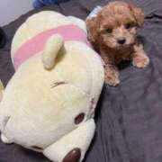 ねお【デンマで乱れるエロ嬢】 べびちゃん セクシャル