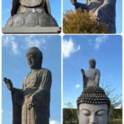 ヒメ日記 2025/11/15 20:00 投稿 橘あゆみ セカンドパートナー池袋