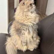 ヒメ日記 2025/11/20 10:20 投稿 橘あゆみ セカンドパートナー池袋