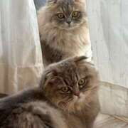 ヒメ日記 2025/12/24 11:40 投稿 橘あゆみ セカンドパートナー池袋