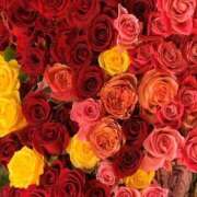 ヒメ日記 2025/11/20 02:33 投稿 葉月-ハヅキ- お姉さんセレブR38