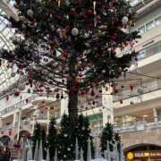 ヒメ日記 2025/12/23 16:19 投稿 葉月-ハヅキ- お姉さんセレブR38