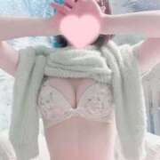 ヒメ日記 2025/12/15 09:01 投稿 みお♡新人 密着アロマにゃんにゃんSPA