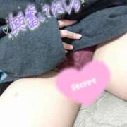 ヒメ日記 2025/11/20 16:35 投稿 はとり 奥様特急上越店