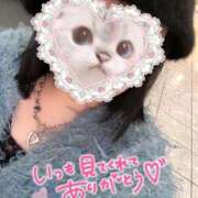 ヒメ日記 2026/04/03 03:25 投稿 はとり 奥様特急上越店