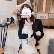 ヒメ日記 2025/10/31 12:25 投稿 サナ きらめけ！にゃんにゃん学園in大宮