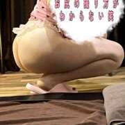 ヒメ日記 2026/01/26 23:00 投稿 大島るな ワイフコレクション