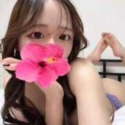 ヒメ日記 2025/11/06 19:28 投稿 ねね Seirenes (セイレネス)