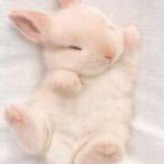 ヒメ日記 2026/01/22 07:00 投稿 ミミ、GOODの神話となれ！ GOOD-グッド-