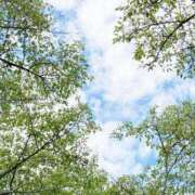 ヒメ日記 2026/02/02 10:00 投稿 ミミ、GOODの神話となれ！ GOOD-グッド-