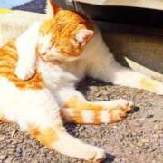 ヒメ日記 2026/03/09 11:30 投稿 ミミ、GOODの神話となれ！ GOOD-グッド-