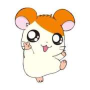 ヒメ日記 2026/03/03 00:12 投稿 りりす 即イキ淫乱倶楽部 松戸店