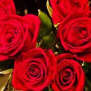 ヒメ日記 2025/11/17 23:09 投稿 花沢 華恋人(カレント)