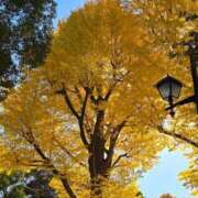 ヒメ日記 2025/11/29 16:02 投稿 花沢 華恋人(カレント)