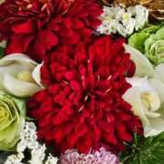 ヒメ日記 2026/01/12 22:31 投稿 花沢 華恋人(カレント)