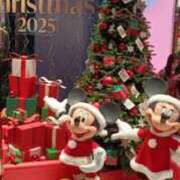 ヒメ日記 2025/11/26 20:45 投稿 るみな トマトなび