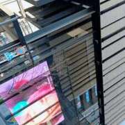 ヒメ日記 2025/12/17 08:45 投稿 るみな トマトなび