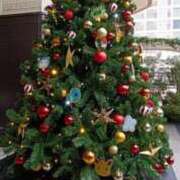 ヒメ日記 2025/12/21 08:45 投稿 るみな トマトなび