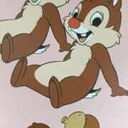 ヒメ日記 2026/02/03 08:30 投稿 るみな トマトなび