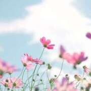 ヒメ日記 2026/02/04 08:45 投稿 るみな トマトなび