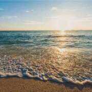 ヒメ日記 2026/03/08 07:45 投稿 るみな トマトなび