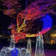 ヒメ日記 2025/11/22 21:57 投稿 ゆめ Blue Moon