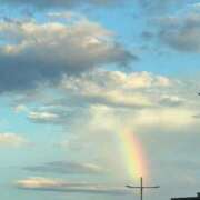 ヒメ日記 2025/12/29 12:59 投稿 ゆめ Blue Moon