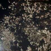 ヒメ日記 2026/03/30 08:09 投稿 ゆめ Blue Moon