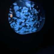 ヒメ日記 2025/11/11 10:36 投稿 めろ One More 奥様　西船橋店