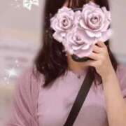 ヒメ日記 2026/03/17 08:39 投稿 なつみ スピードエコ日本橋店