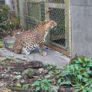 ヒメ日記 2025/11/07 13:09 投稿 えみな 丸妻 厚木店