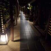 ヒメ日記 2025/11/14 15:46 投稿 えみな 丸妻 厚木店