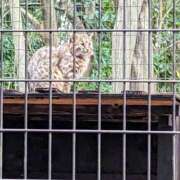 ヒメ日記 2025/11/16 18:52 投稿 えみな 丸妻 厚木店