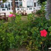 ヒメ日記 2025/11/19 17:04 投稿 えみな 丸妻 厚木店