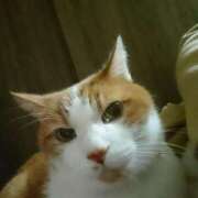 ヒメ日記 2025/11/22 10:25 投稿 えみな 丸妻 厚木店