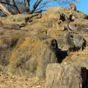 ヒメ日記 2025/11/22 17:09 投稿 えみな 丸妻 厚木店