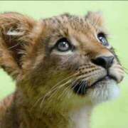 ヒメ日記 2025/11/22 23:44 投稿 えみな 丸妻 厚木店