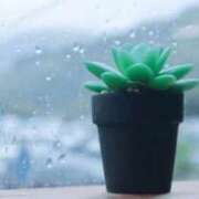 ヒメ日記 2025/10/31 07:47 投稿 柏木奈緒 五十路マダム 博多店