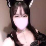 かぐら◇明るく愛嬌◎S級美女◇ かぐらねこたん🐈‍⬛🎀 H-ash（アッシュ）