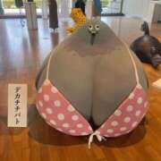 ヒメ日記 2026/01/24 14:31 投稿 かずほ 柏人妻花壇