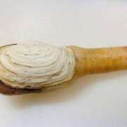 ヒメ日記 2026/03/13 18:26 投稿 かずほ 柏人妻花壇