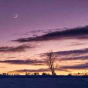 ヒメ日記 2025/11/09 07:46 投稿 りん ニューヨークニューヨーク