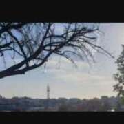 ヒメ日記 2025/11/19 15:35 投稿 りん ニューヨークニューヨーク