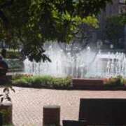 ヒメ日記 2025/11/26 11:01 投稿 りん ニューヨークニューヨーク